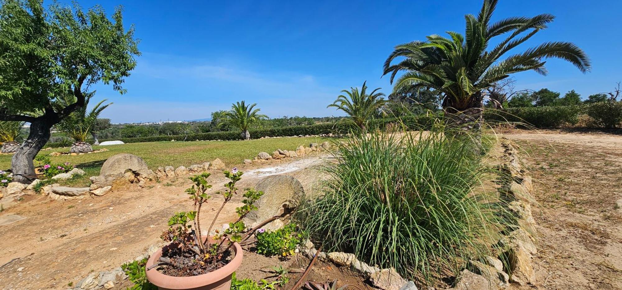 Quinta Do Lagar Villa Albufeira Dış mekan fotoğraf