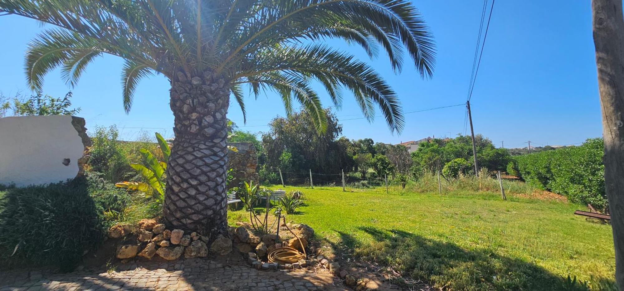 Quinta Do Lagar Villa Albufeira Dış mekan fotoğraf