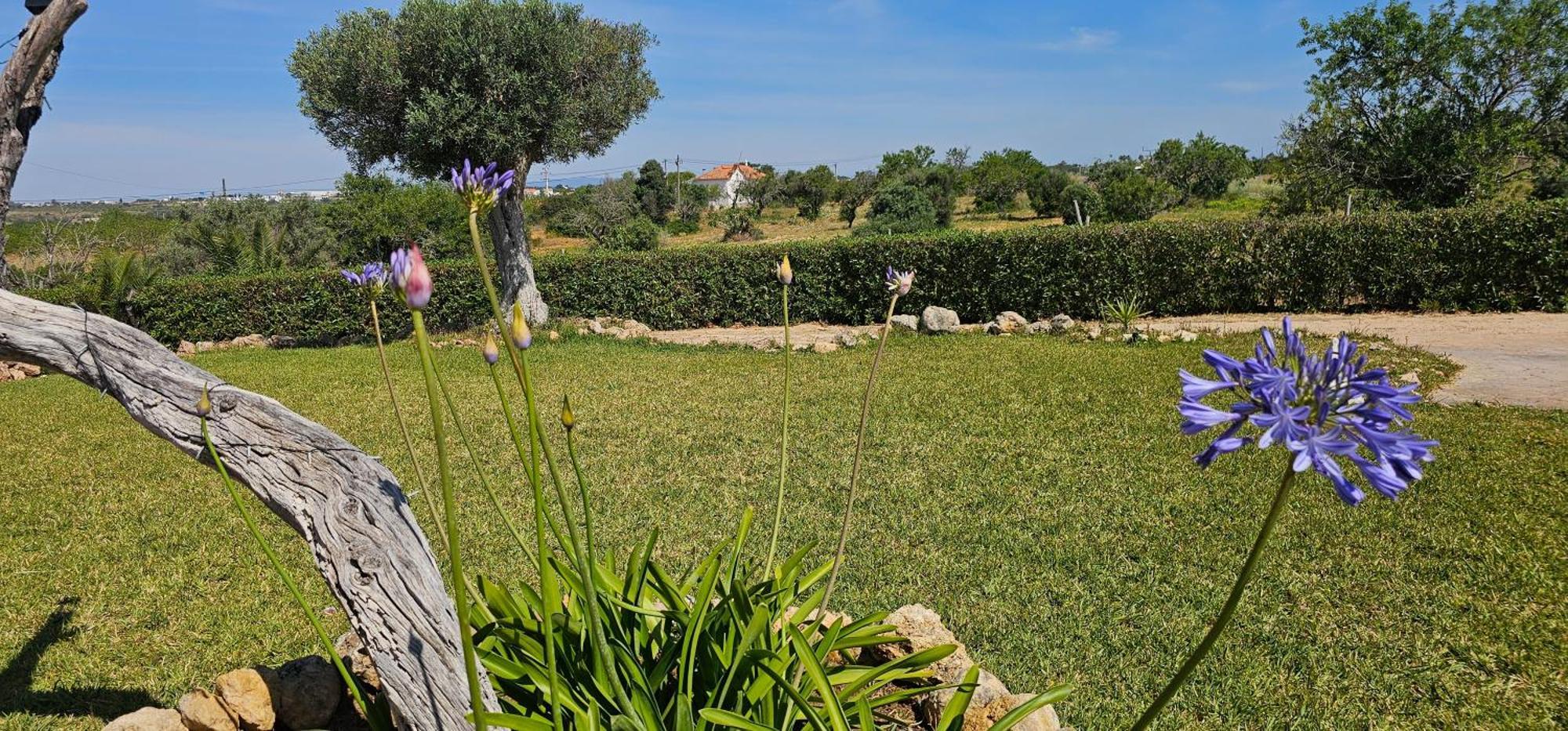 Quinta Do Lagar Villa Albufeira Dış mekan fotoğraf